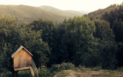 3 Amazing Writing Sheds